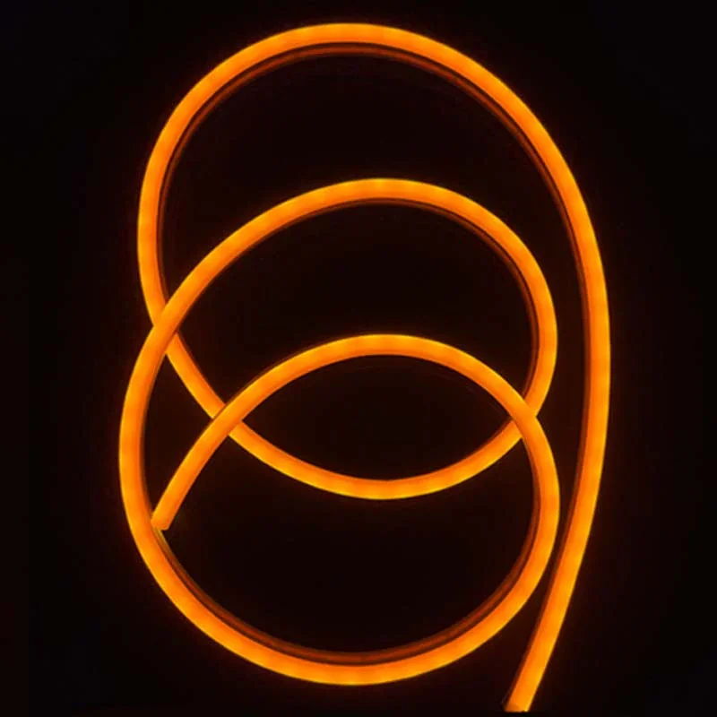 Orange Color Neon Flexible Strip Light 12V DC Waterproof LED light for Decoration — Power & Components — Back view