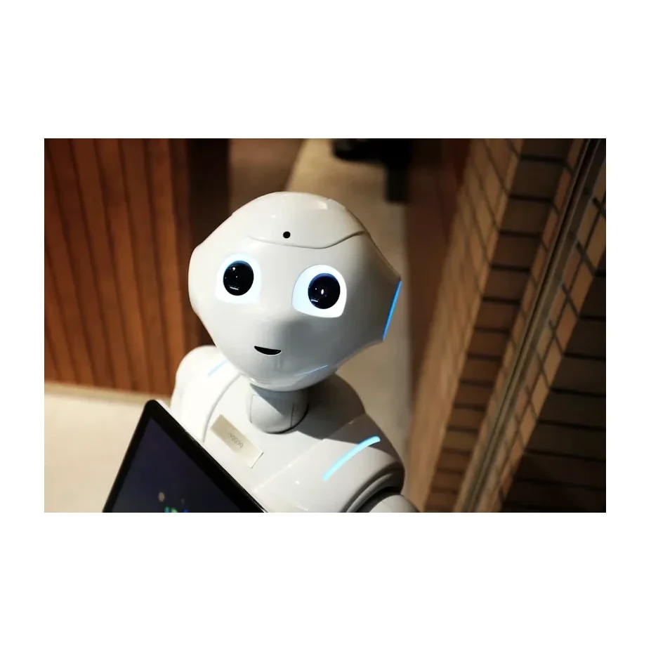 Roboki — Back view