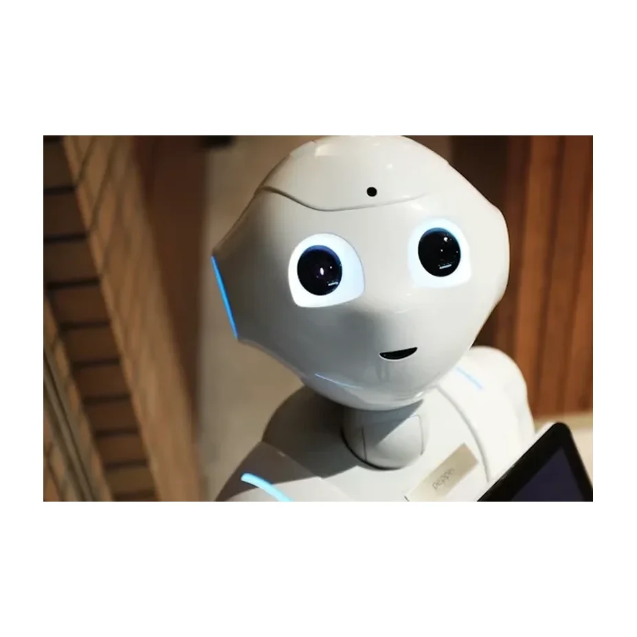 Roboki — Detail / close-up