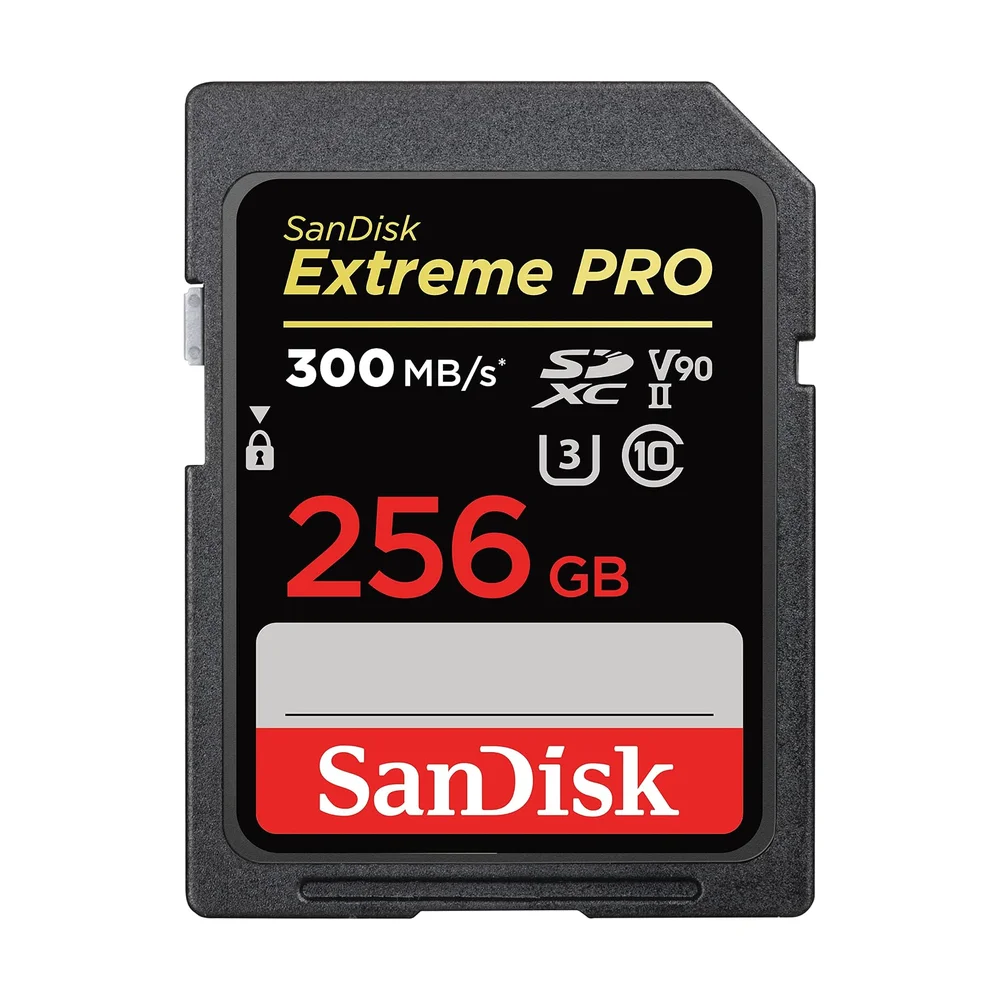 SanDisk Extreme Pro SDXC 256 GB V90 — Detail / close-up